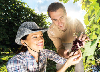 Live Vibrantly With Polyphenols