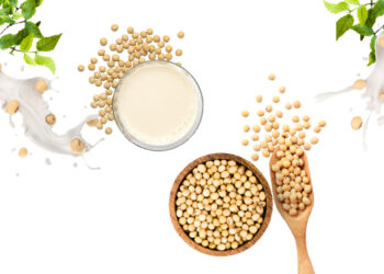 Soy Protein: 6 Myths & Facts