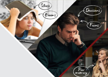 Beat Brain Fog with Polyphenols!