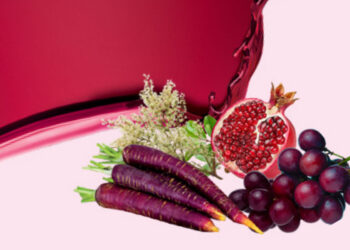 Polyphenols – The Superheroes of Your Health