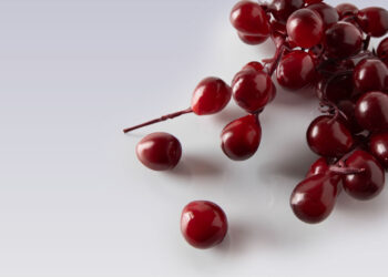 The Mighty Muscadine