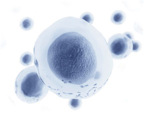health_1