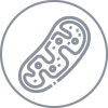 health_4