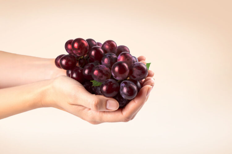 Energy That Starts Where Life Begins. In Your Cells.