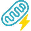 coq_5