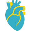 coq_6