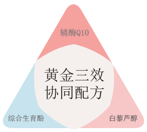 ignite_1_cn