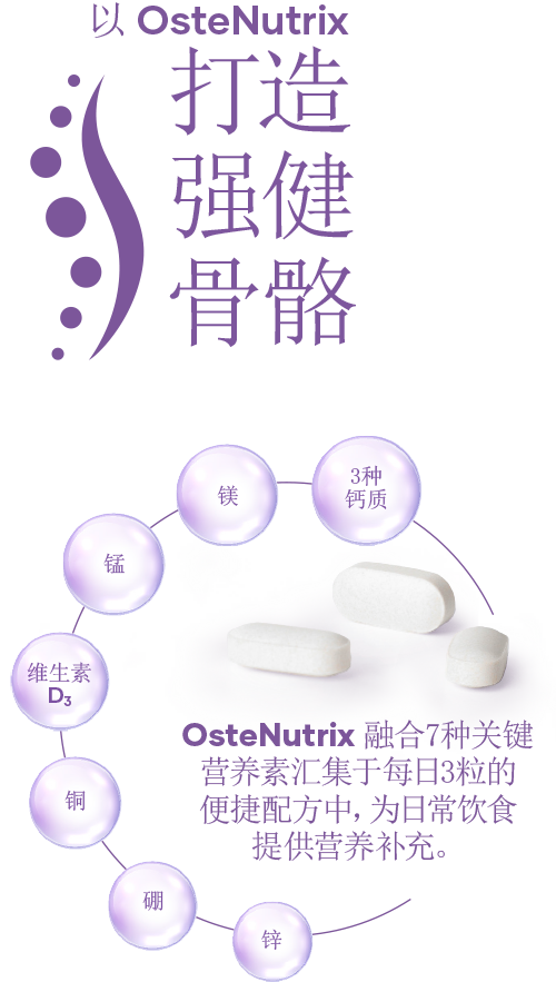 bone_1-3