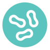 gut_2